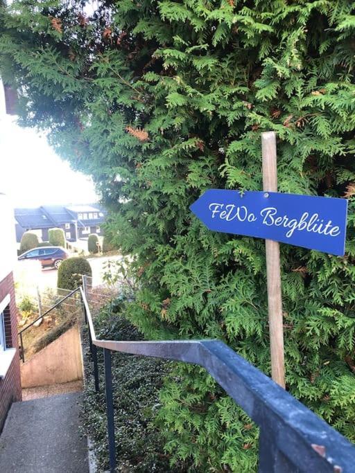Bergbluete Appartement Braunlage